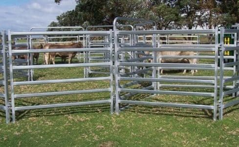 Round Rails ปศุสัตว์ 1.8m Steel Cattle Yard Panels Hot Dipped Galvanized